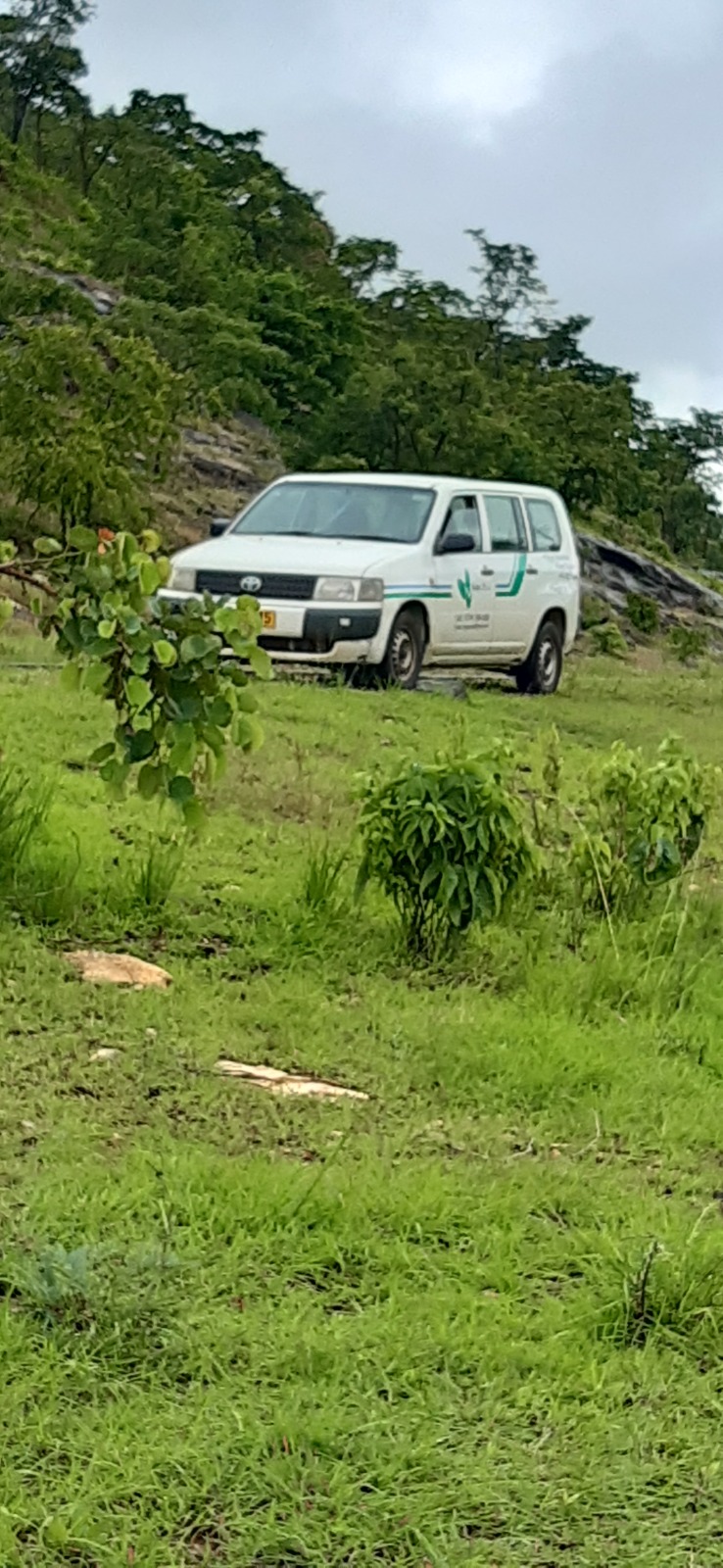 Niatty freight vehicle