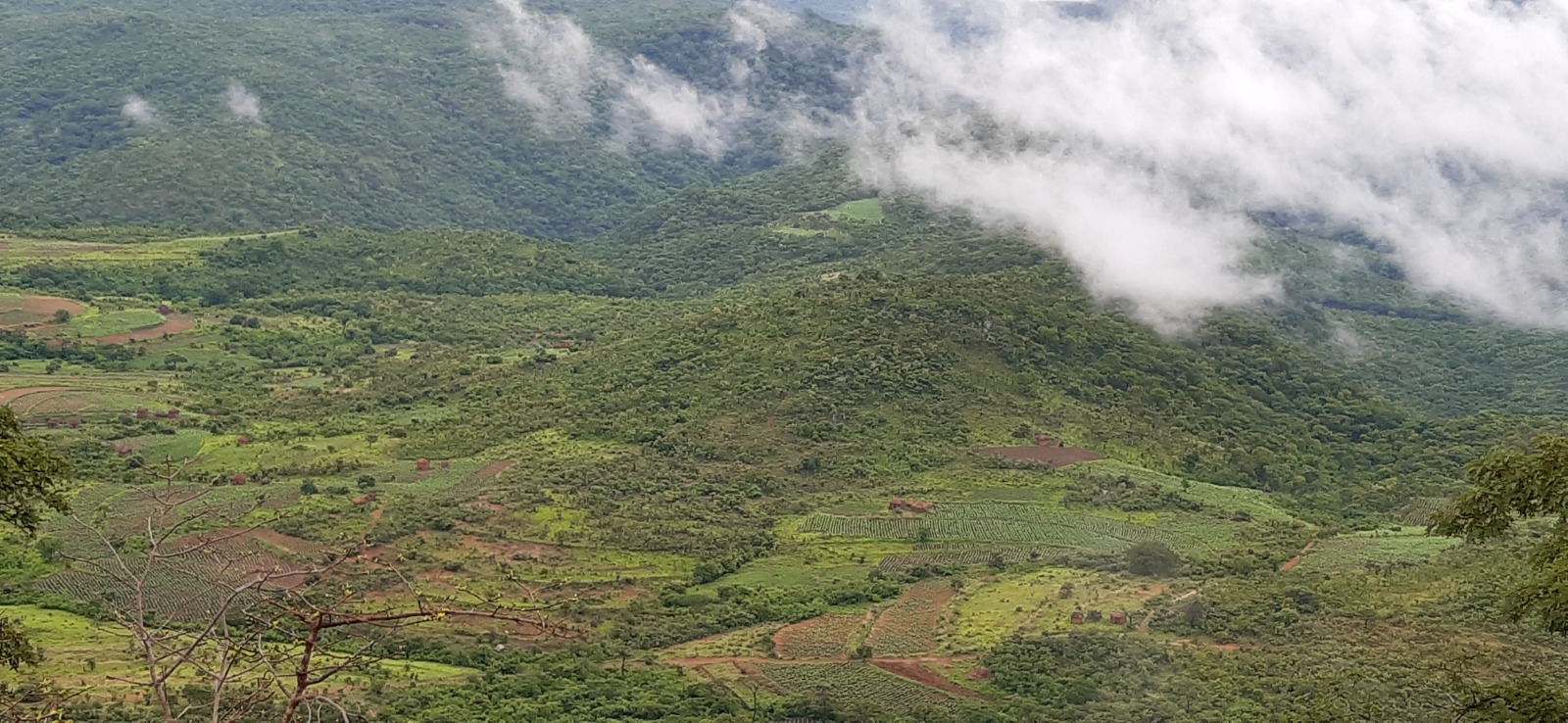 Zimbabwean highlands